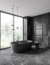 Dark gray marble bathroom corner with tub Royalty Free Stock Photo