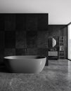 Dark gray marble bathroom interior with tub and sink Royalty Free Stock Photo