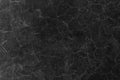 Dark gray rough concrete wall texture background Royalty Free Stock Photo