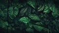 dark green abstract texture with succulent leaves of tropical plants. natural background, plant leaves. AI Royalty Free Stock Photo