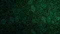 Dark green abstract wall texture Royalty Free Stock Photo