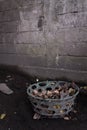 A dark green basket with withered leaves in it as a place to accommodate.