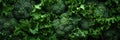 A of dark green broccoli leaves their textured surface and deep color adding a touch of earthiness Royalty Free Stock Photo