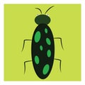 Dark green bug with light green dots vector illustration Royalty Free Stock Photo
