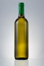 Dark green glass bottle with white wine Royalty Free Stock Photo