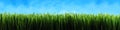 Dark green grass panorama background Royalty Free Stock Photo
