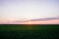 Dark green grass field landscape sunset sun light dusk Royalty Free Stock Photo