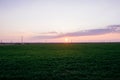 Dark green grass field landscape sunset sun light dusk Royalty Free Stock Photo