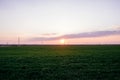 Dark green grass field landscape sunset sun light dusk Royalty Free Stock Photo