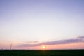 Dark green grass field landscape sunset sun light dusk Royalty Free Stock Photo