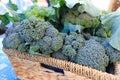 Fresh organic broccoli at the local farmers` market. Royalty Free Stock Photo