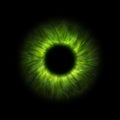 dark green human iris Royalty Free Stock Photo