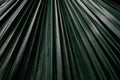Dark green leaf close-up. Minimalism, macro, straight lines, background. Royalty Free Stock Photo
