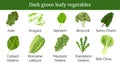 Dark green leafy vegetables, herbs. Spinach, Dandelion green, broccoli, Mustard, Romaine Lettuce, kale, Collard.