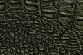 Dark green leather texture background, closeup. Reptile olive skin, macro Royalty Free Stock Photo