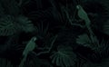 Dark green monochrome tropical seamless pattern with exotic monstera and royal palm leaves, blue macaws and branches