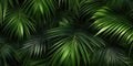 Dark green palm leaves dramatic photo effect background, realism, realistic, hyper realistic. Generative AI weber.