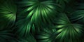 Dark green palm leaves dramatic photo effect background, realism, realistic, hyper realistic. Generative AI weber.