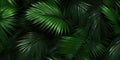 Dark green palm leaves dramatic photo effect background, realism, realistic, hyper realistic. Generative AI weber.