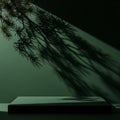 Dark green studio background with pine tree shadow and platform Royalty Free Stock Photo