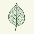 Leaf shape with intricate vein lines forming geometric shapes, Royalty Free Stock Photo
