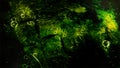 Dark Green Texture and Choreographed Dancing Glass Sphere Bubbles - Abstract Background Texture