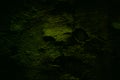 Dark green texture, old cracked wall. Vignette. Backgrounds. t Royalty Free Stock Photo