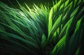 Dark green vibrant green grass close up in details Royalty Free Stock Photo