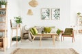 Green cozy living room Royalty Free Stock Photo