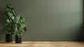 Dark green wall empty room with plants on a floor Royalty Free Stock Photo