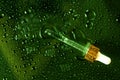 Dark green wet glass background. Water drops on clear surface