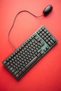 Green Wired Keyboard and Black Computer Mouse on a Red Background technology input device Royalty Free Stock Photo