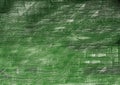 Dark green wood. Natural texture background. Royalty Free Stock Photo