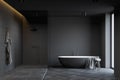 Dark grey bathroom with tub and shower Royalty Free Stock Photo