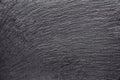 Dark grey black slate background or texture Royalty Free Stock Photo