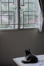 a dark grey cat sitting on a bed looking out a window in a room Royalty Free Stock Photo