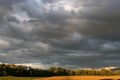 Dark grey clouds storm coming, looming over a farmer`s field of crops and trees. Royalty Free Stock Photo
