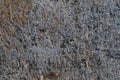 Dark Grey Coarse Concrete Stone Wall Texture, Horizontal Macro Closeup Old Aged Weathered Detailed Natural Gray Rustic Textured Royalty Free Stock Photo