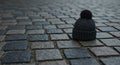 Dark Grey Knit Cap on Wet Cobblestone Street Royalty Free Stock Photo