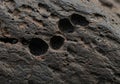 Dark Grey Rock Texture with Irregular Holes Royalty Free Stock Photo