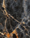 Dark grey soapstone slab featuring subtle white veining and a honed texture, captured in macro format Royalty Free Stock Photo