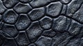 Reptile Skin Leather Texture. Abstract Dark Grey Scales Pattern Background Royalty Free Stock Photo