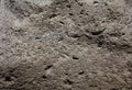 Dark grey tuff texture Royalty Free Stock Photo