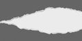Dark grey and white piece of paper with torn edges and soft shadow are on white background for text or ad.