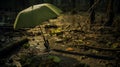 Dark And Gritty Forest: A Green Umbrella Depicting Trapped Emotions