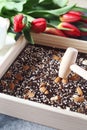 Dark handmade chocolate with nuts and red tulips
