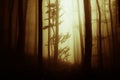 Dark Halloween forest background with mysterious fog Royalty Free Stock Photo