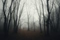 Dark haunted woods with man silhouette and fog Royalty Free Stock Photo