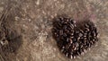 Dark heart shape coffee bean on wooden table