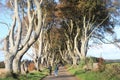 Dark Hedges - Ireland tourism - Irish travel diaries